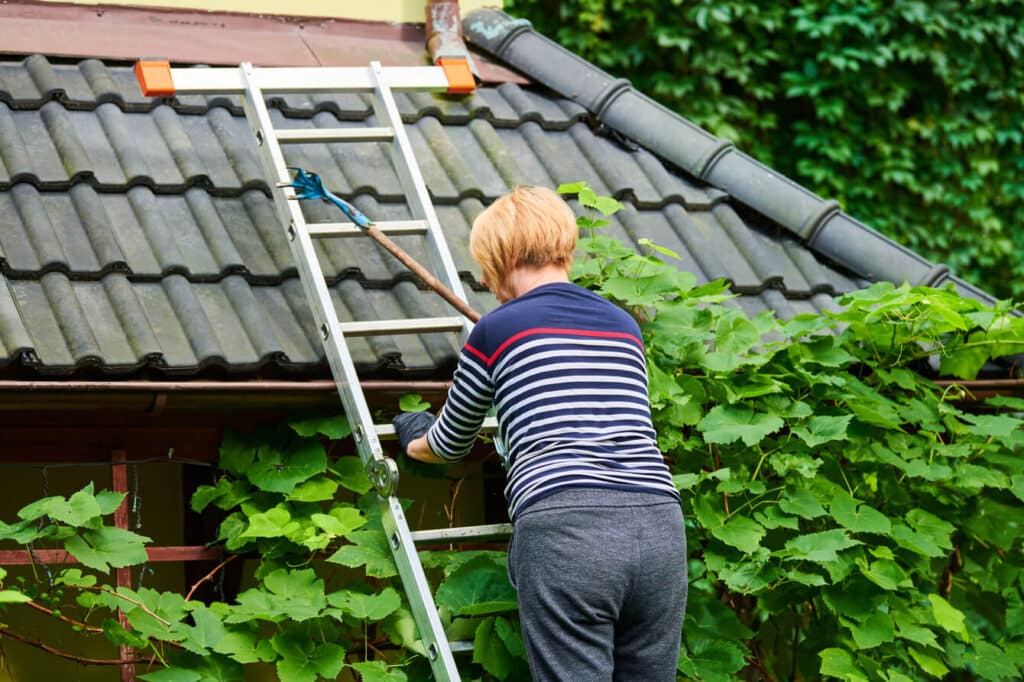 Woman on ladder pruning grapevine green foliage for decoration, stepladder for home gardening