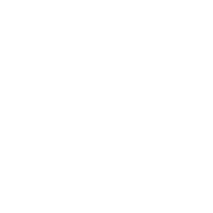 Medical Team