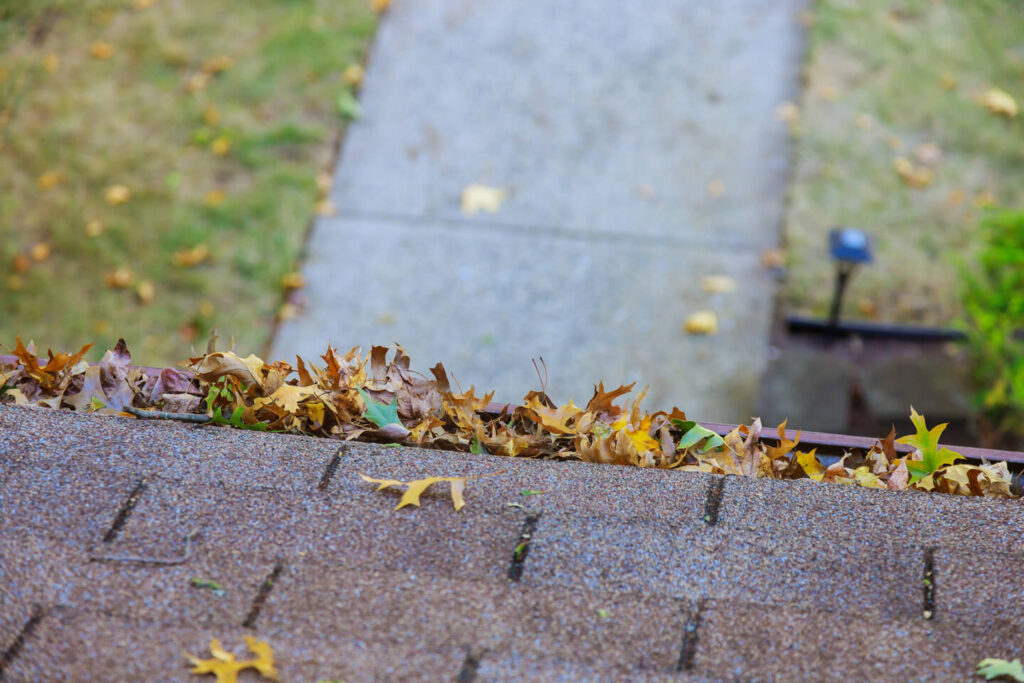 Brown Leaves Collect on Rooftop Near Path