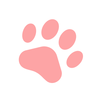 dog paw print accent right