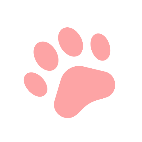 dog paw print accent